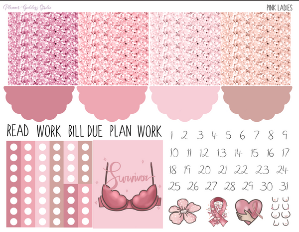 Pink Ladies Sticker Kit